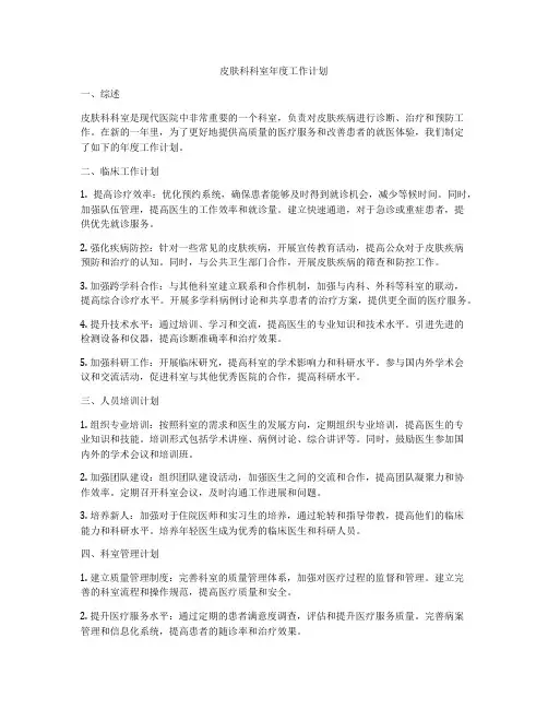 皮肤科科室年度工作计划