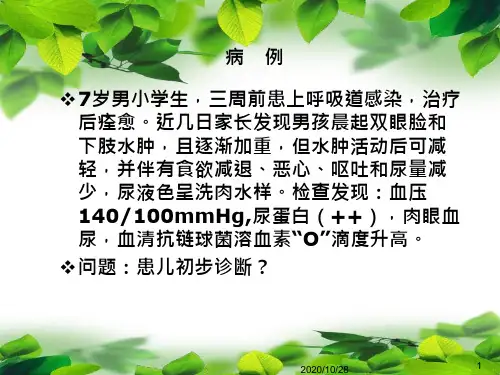第三节-急性肾小球肾炎-课件