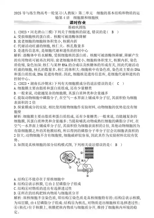 2025导与练生物高考一轮复习(人教版)第二单元 细胞的基本结构和物质的运输含答案
