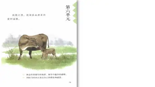 统编版五年级语文上册18慈母情深课件(共15张PPT)