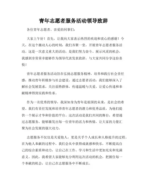 青年志愿者服务活动领导致辞