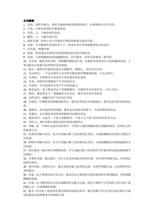 人体解剖生理学重点总结