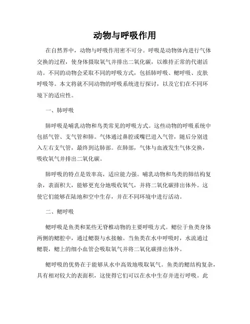 动物与呼吸作用