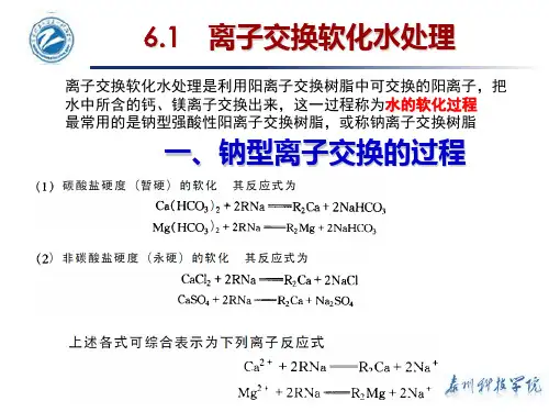 第6章 水的离子交换处理