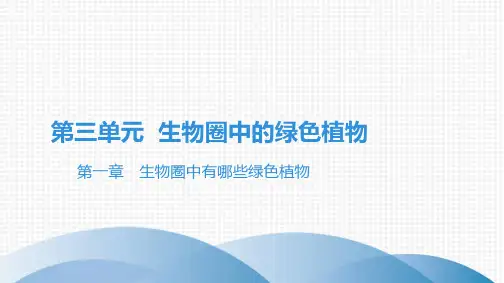 最新人教版中考生物复习知识点梳理 第三单元 生物圈中的绿色植物 第一章生物圈中有哪些绿色植物