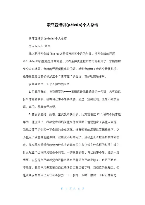 索菲亚培训个人总结