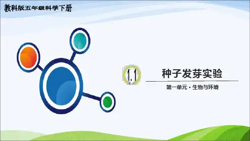 教科版科学五年级下册1.1《种子发芽实验》教学课件