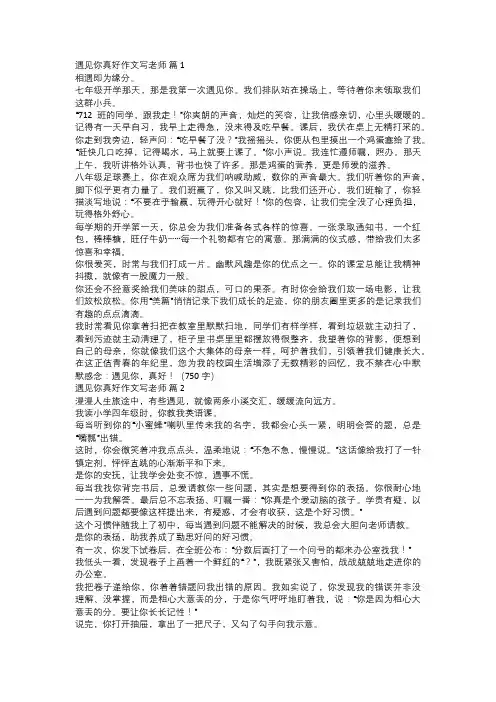 遇见你真好作文写老师