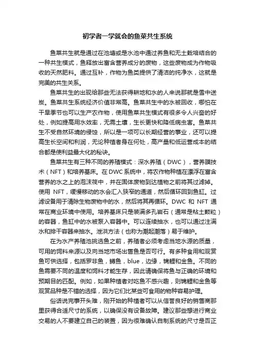 初学者一学就会的鱼菜共生系统