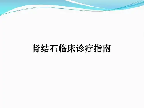 肾结石诊疗指南【11页】