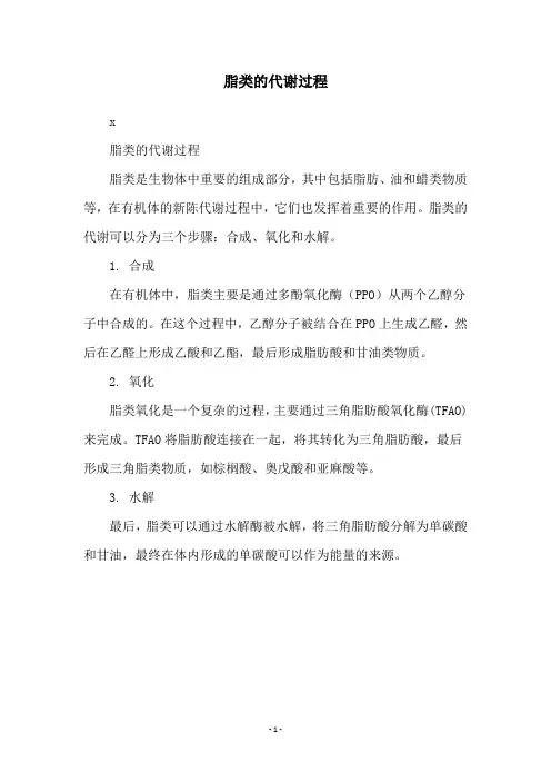 脂类的代谢过程