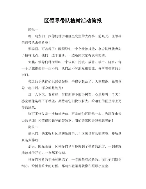 区领导带队植树活动简报