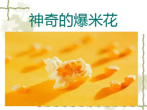 综合实践活动课《神奇的爆米花》优质课件