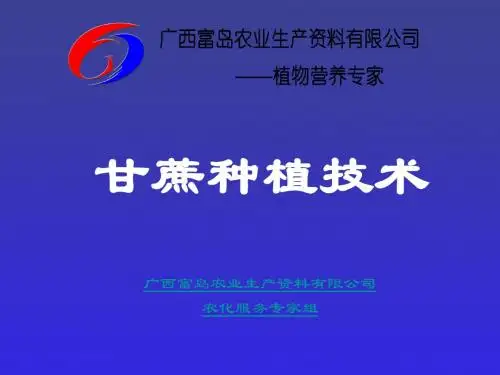 甘蔗种植技术