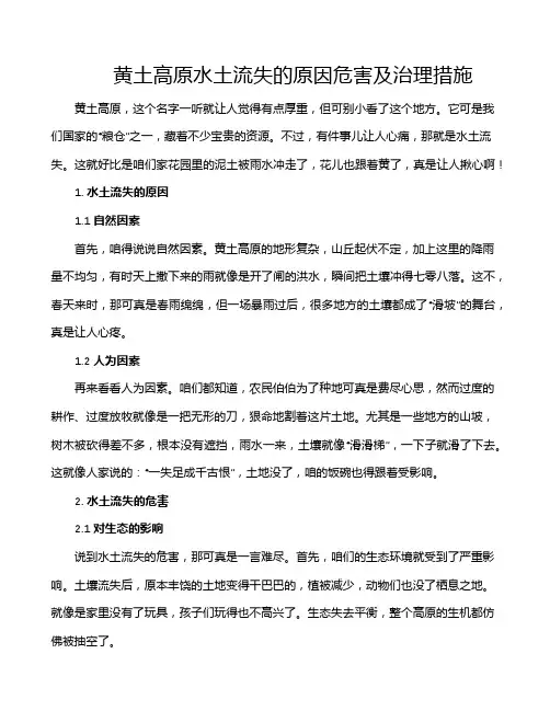 黄土高原水土流失的原因危害及治理措施