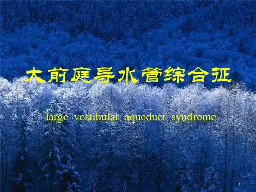 (推荐课件)大前庭导水管综合征PPT幻灯片