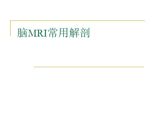 脑MRI常用解剖(局部)