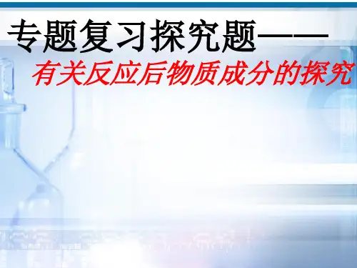 专题复习探究题——有关反应后物质成分的探究(共19张PPT)