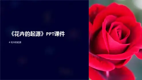 《花卉的起源》课件