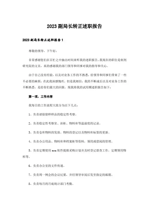 2023副局长转正述职报告