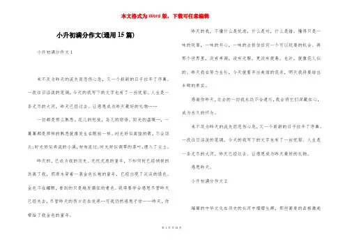 小升初满分作文(通用15篇)