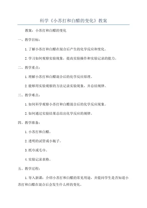 科学《小苏打和白醋的变化》教案
