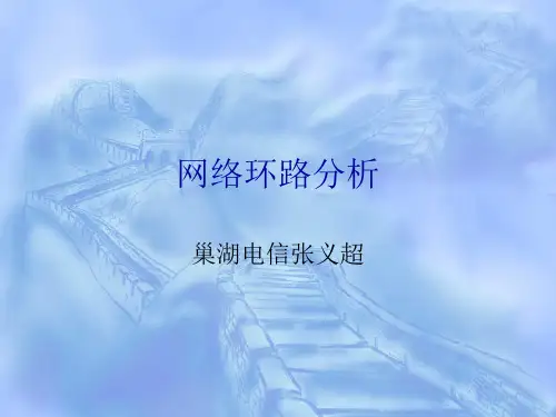 网络环路分析全解