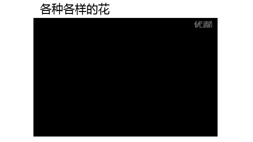 《开花和结果》课件1