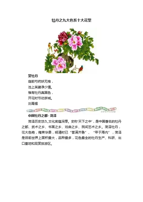 牡丹之九大色系十大花型