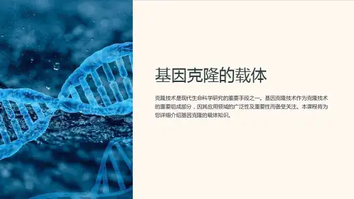 《基因克隆的载体》课件