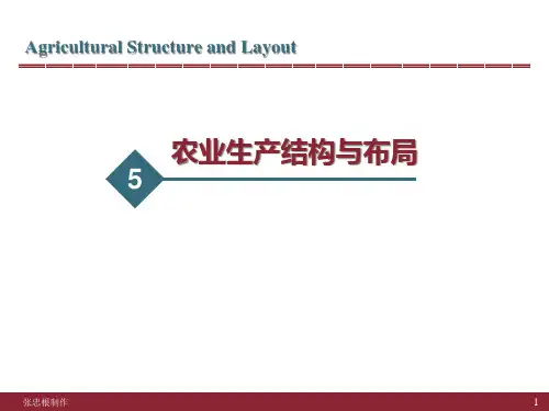 农业生产结构与布局