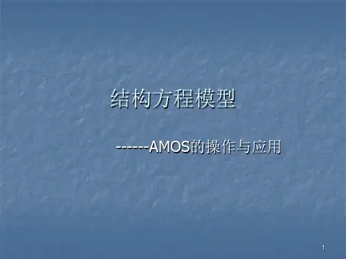 结构方程模型ppt课件