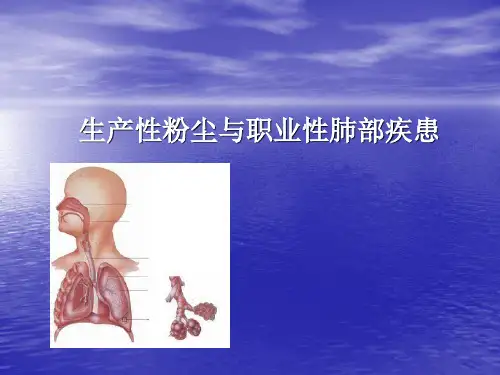 生产性粉尘与肺部疾患 ppt课件