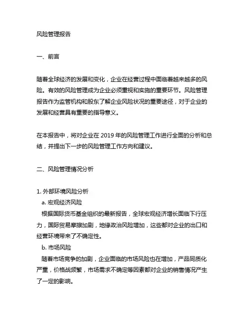 风险管理报告模板范文9706.218