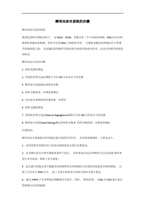 酵母双杂交系统步骤