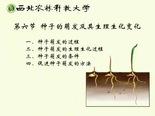 种子学chapter2.6 种子萌发及其生理生化变化-63页PPT文档资料