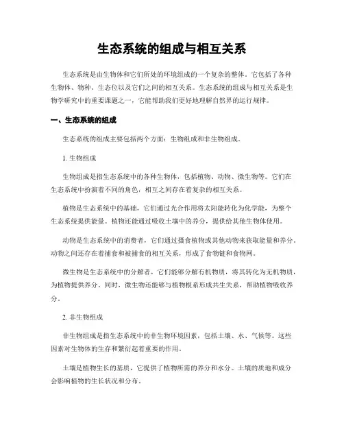 生态系统的组成与相互关系