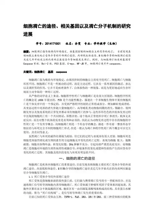 细胞凋亡的途径