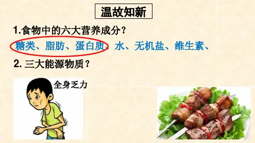 北师大版10.1食物中能量的释放 课件 (共24张PPT)