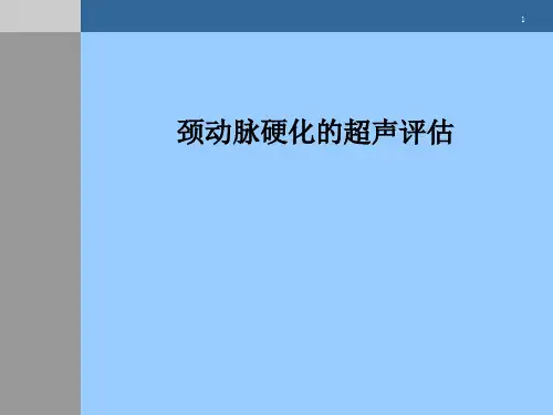 颈动脉的超声诊断PPT演示幻灯片