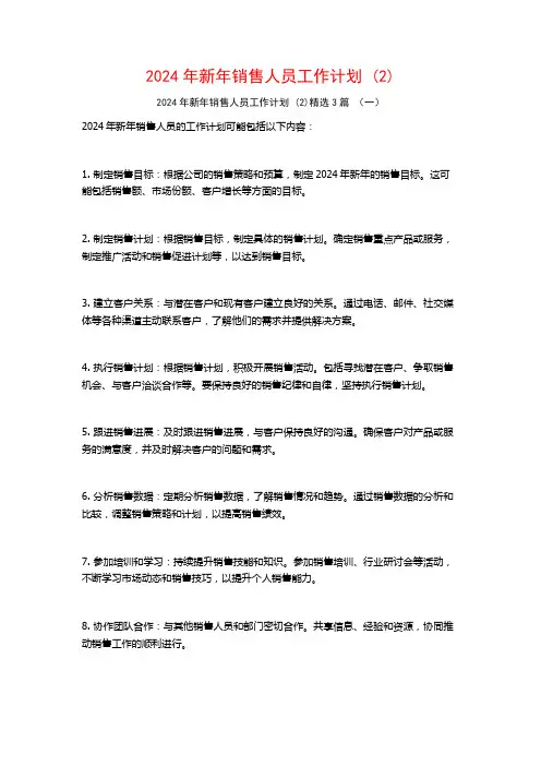 2024年新年销售人员工作计划3篇