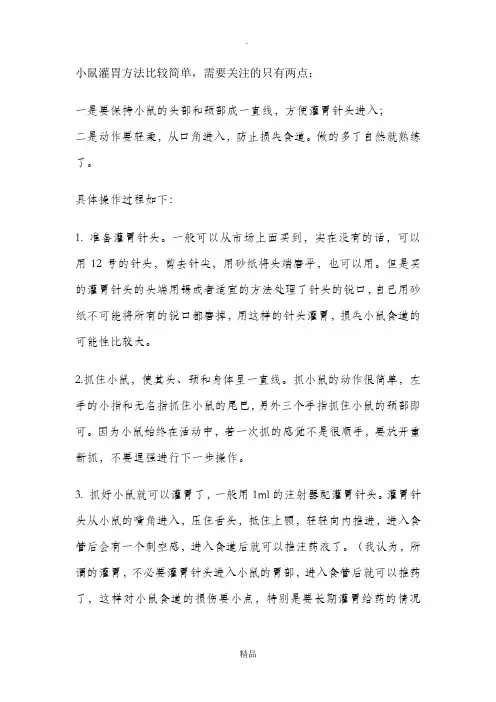 小鼠灌胃的方法及注意事项