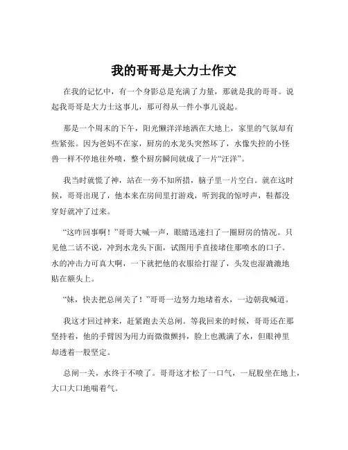 我的哥哥是大力士作文