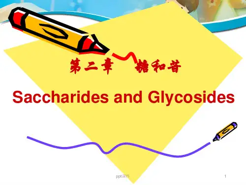 糖和苷  ppt课件