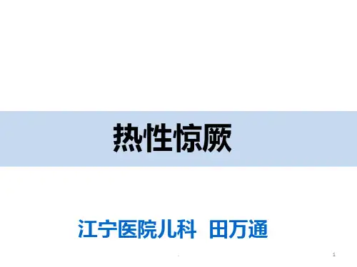 热性惊厥小讲座PPT课件