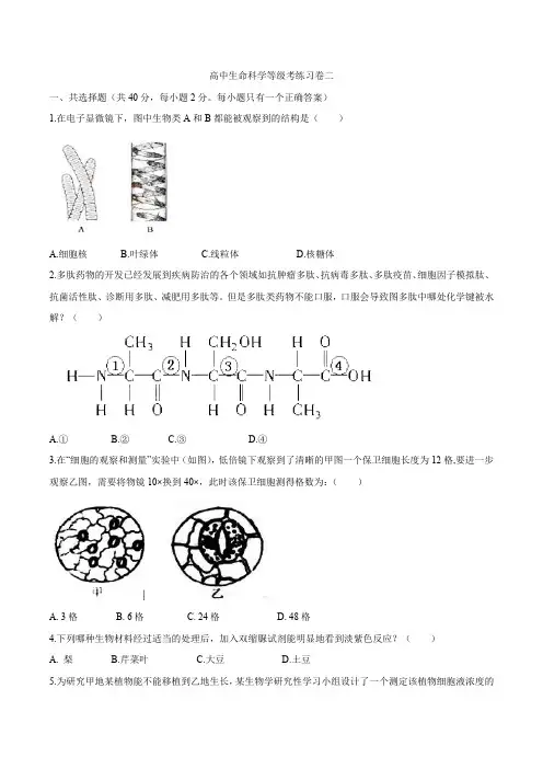 上海市201818-2019年高中生命科学等级考练习卷(二)