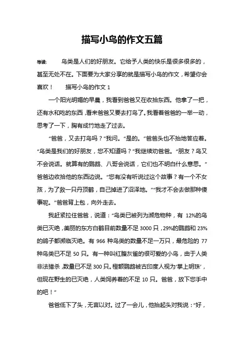 描写小鸟的作文五篇