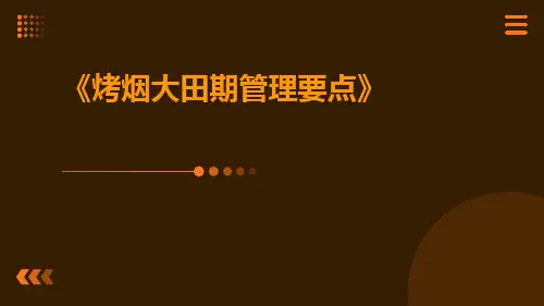 烤烟大田期管理要点