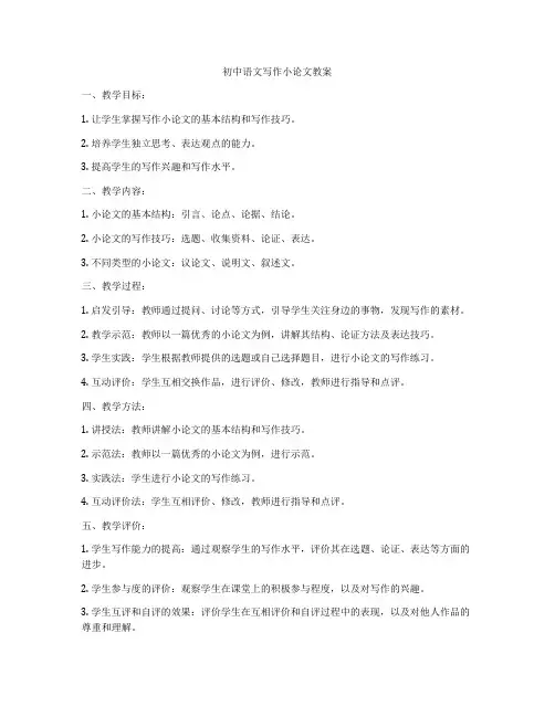 初中语文写作小论文教案
