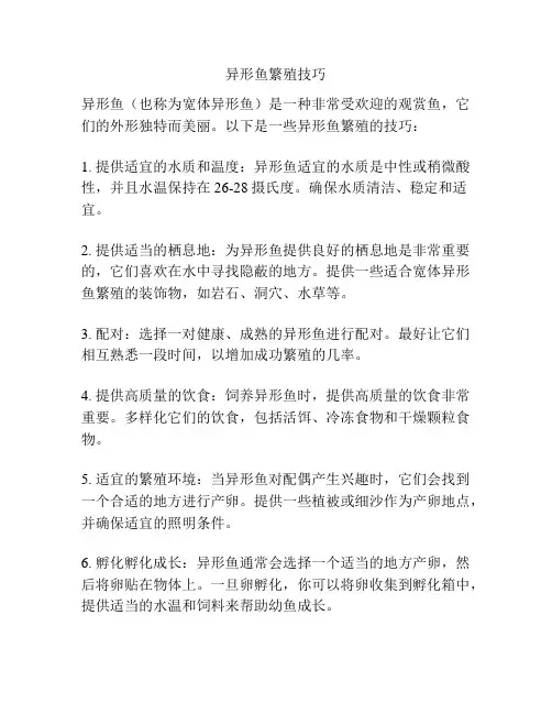 异形鱼繁殖技巧
